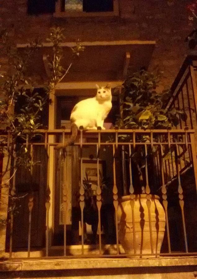 סן זנו די מונטניה Beb Da Paolo Con Vista Lago מראה חיצוני תמונה